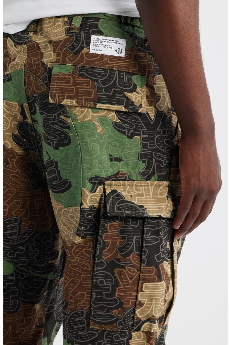 Big Block Currency Camo Cargo Pants, Alternate, color, CAMO