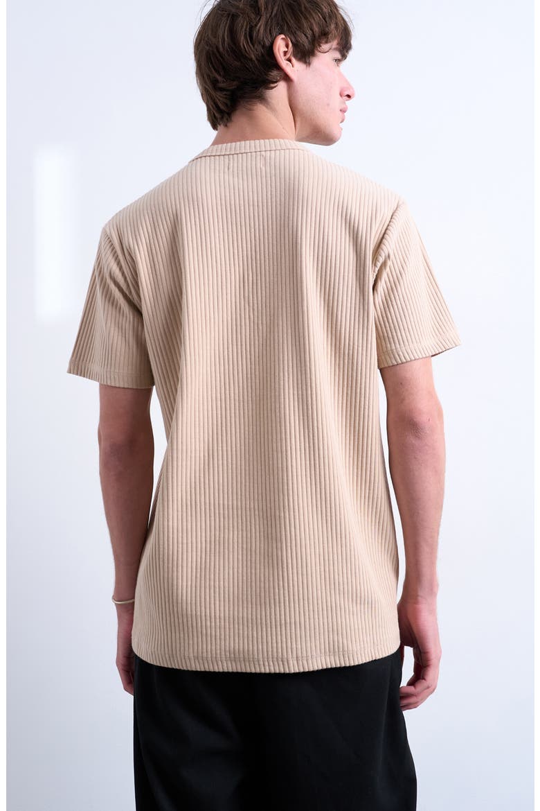 Heavyweight Rib T-Shirt, Alternate, color, CAMEL