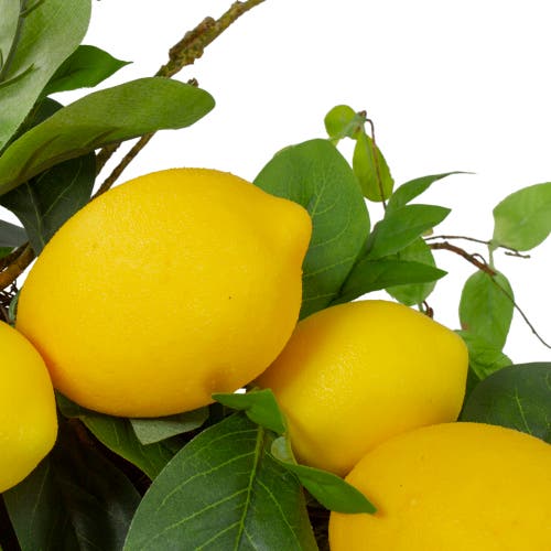 Northlight 20in Lemons & Foliage Artificial Spring Wreath In Yellow