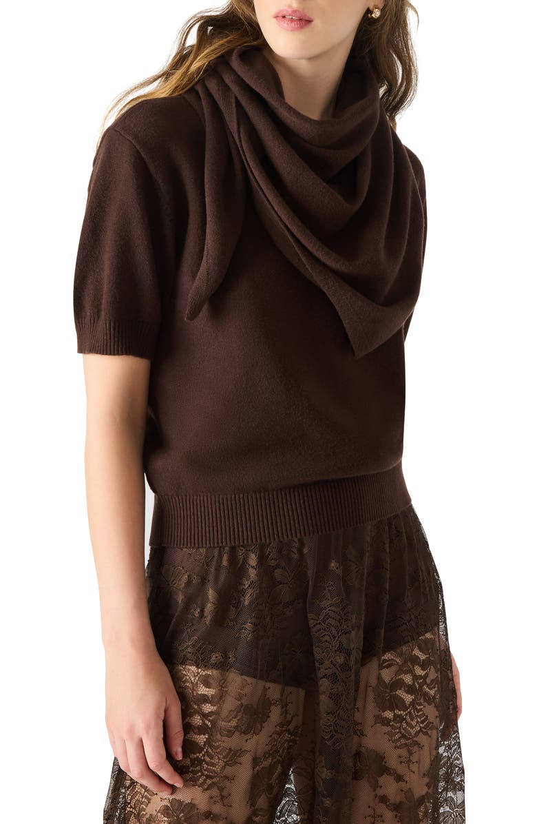 Steve Madden Hermia Short Sleeve Sweater, Alternate, color, Dark Espresso