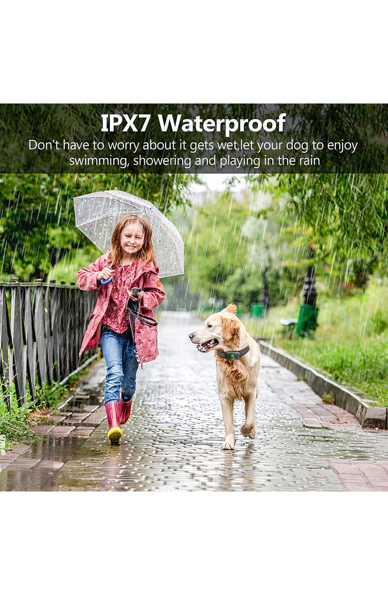 PET LIFE Ellipse LED 1-to-3 Dog 550-Yard Range 16-Level Vibration Sound and Stimulation Training Dog Collar, Alternate, color, 