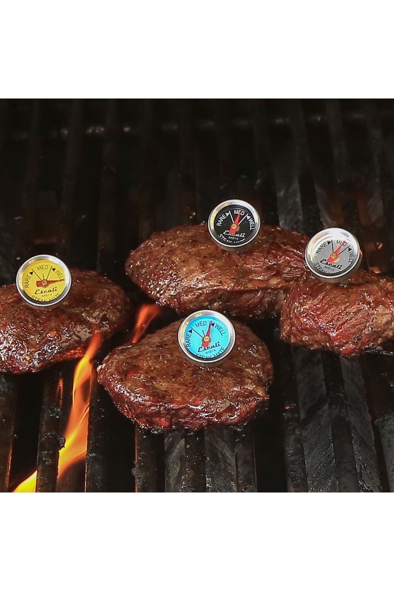 Easy Read Steak Thermometer Set, Alternate, color, Metallic Silver