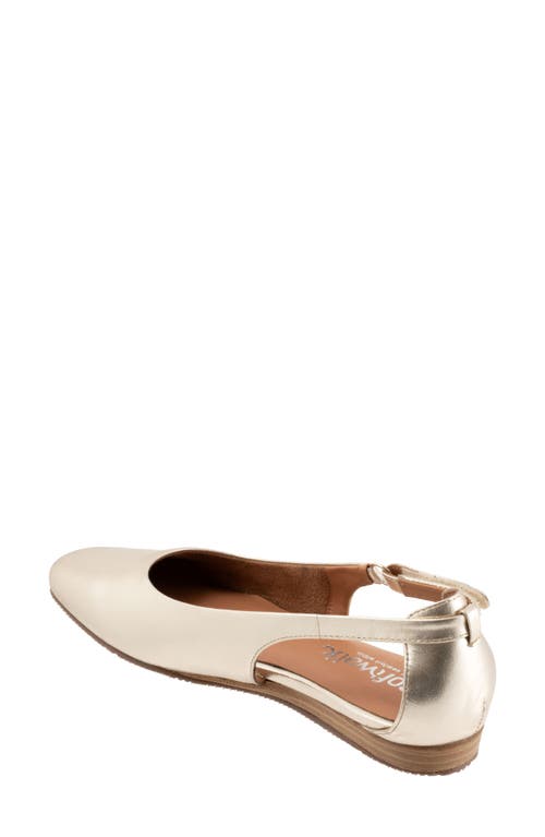 Shop Softwalk ® Venice Flat In Champagne
