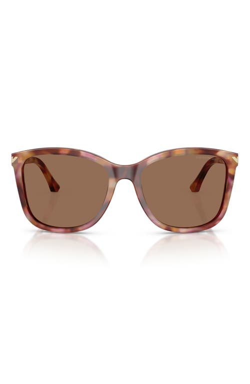 Emporio Armani 56mm Gradient Square Sunglasses In Brown