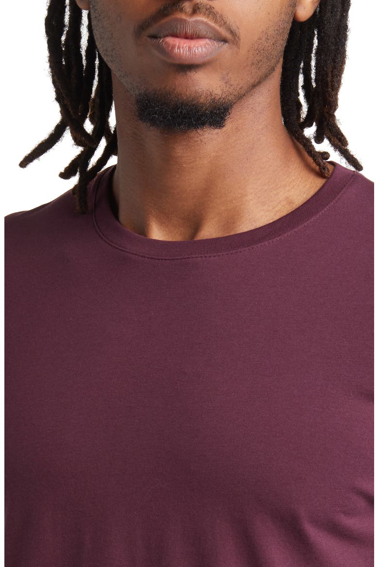 Crewneck Pima Cotton T-Shirt, Alternate, color, WINETASTING