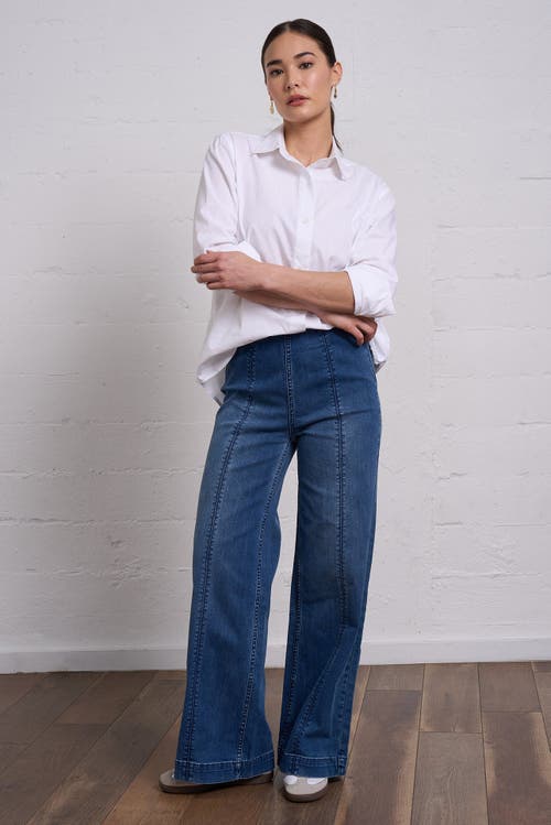 Franne Golde Original Stretch Magic Pant In Blue