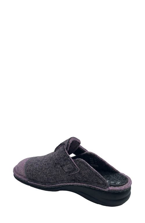 FINN COMFORT FINN COMFORT ANTHOLZ WOOL CLOG