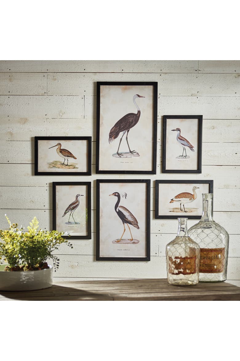 Waterfowl Gallery, Set Of 6, Alternate, color, Black
