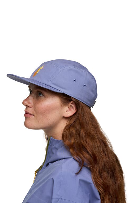Cotopaxi Llama Stripes 5-panel Hat In Purple