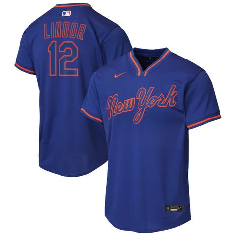 Youth Nike Francisco Lindor Royal New York Mets Alternate Replica Jersey