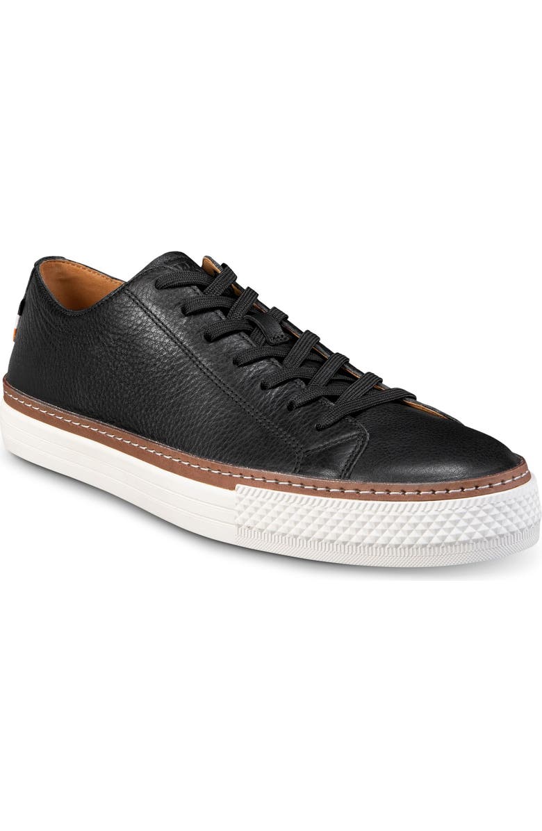 Allen Edmonds Paxton Sneaker, Main, color,