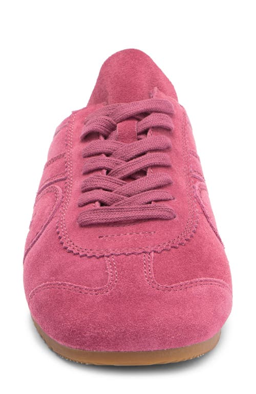 Jeffrey Campbell Aleta Sneaker In Fuchsia Suede