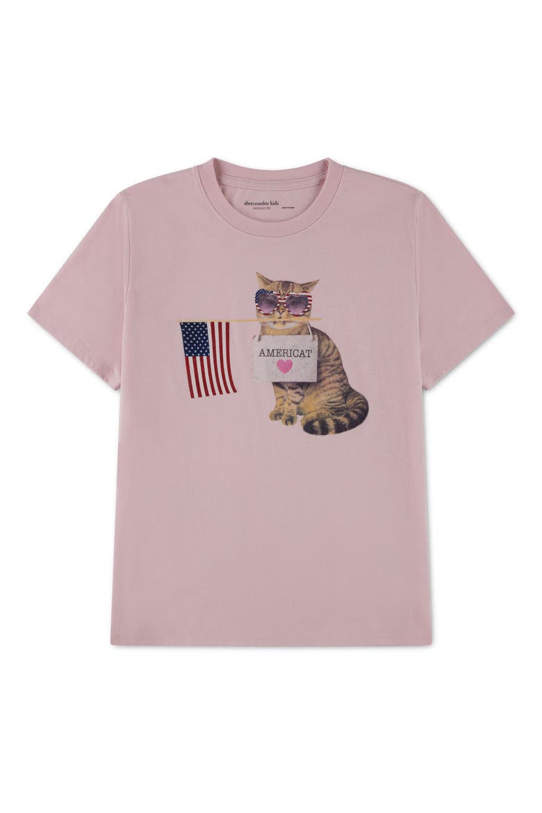 Kids' Americat Graphic Cotton Blend T-Shirt, Main, color, CHALK PINK
