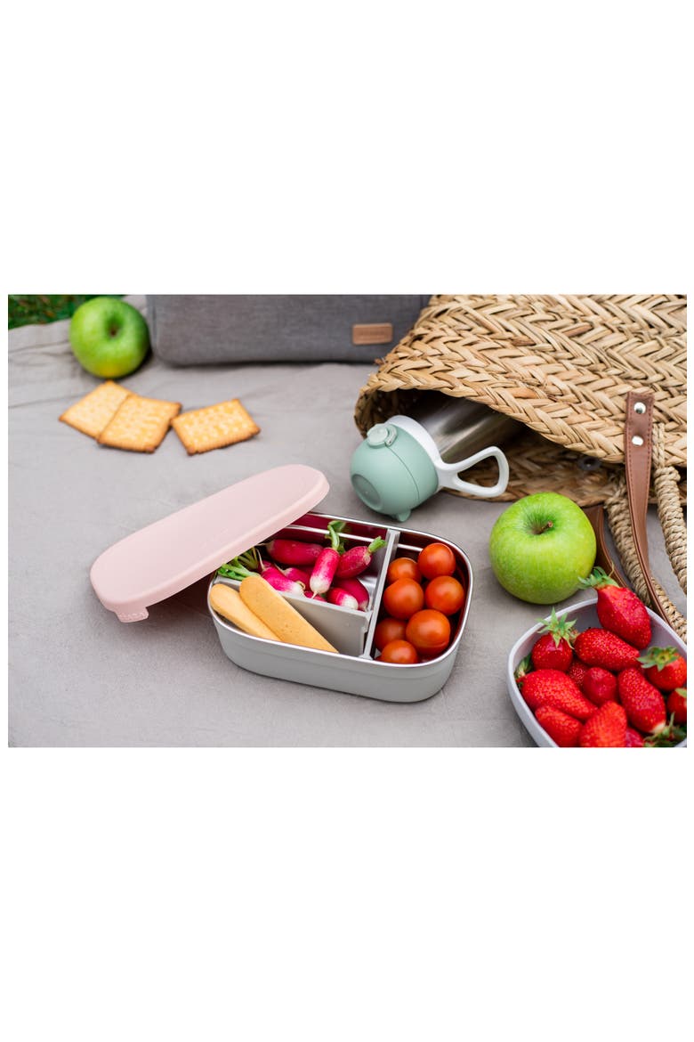 Stainless Steel Lunchbox with Lid, Alternate, color, ROSE