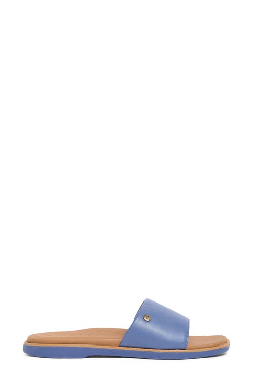 Reef Sunny Arrianah Sandal