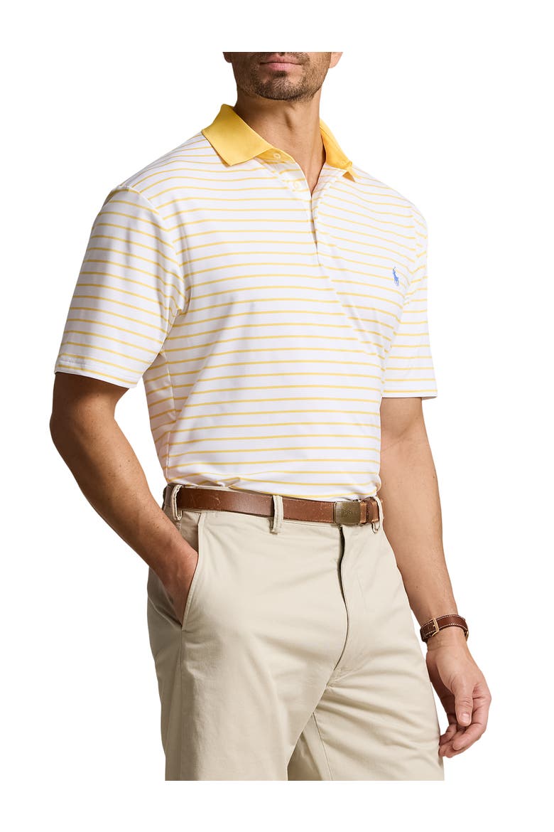 Big & Tall Striped Performance Polo Shirt, Main, color, CERAMIC WH SNFSH YLW