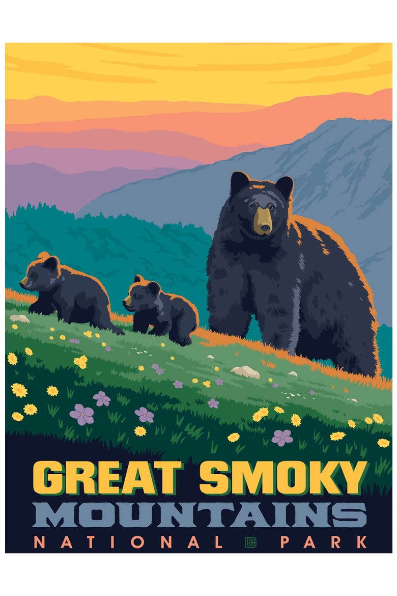 Great Smoky Mountains 300pc Puzzle, Alternate, color, Multicolor