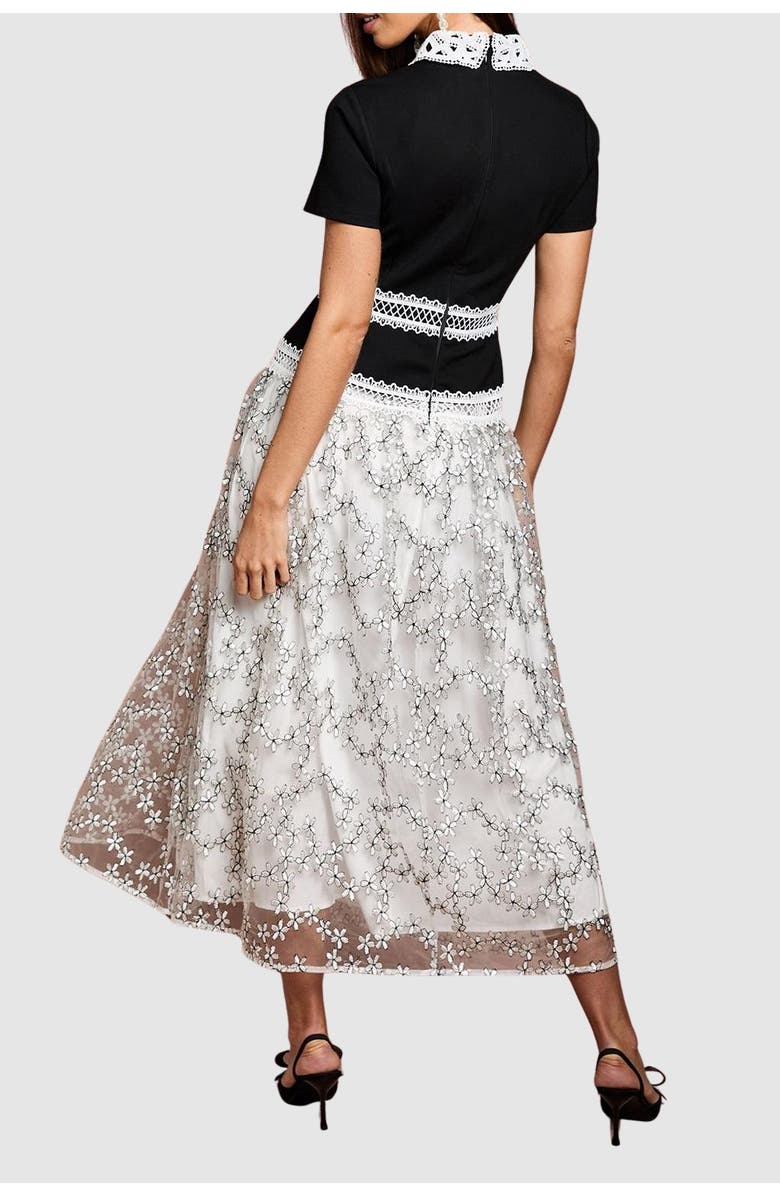 Coast Embroidered Mesh Skirt Midaxi Dress, Alternate, color, Mono