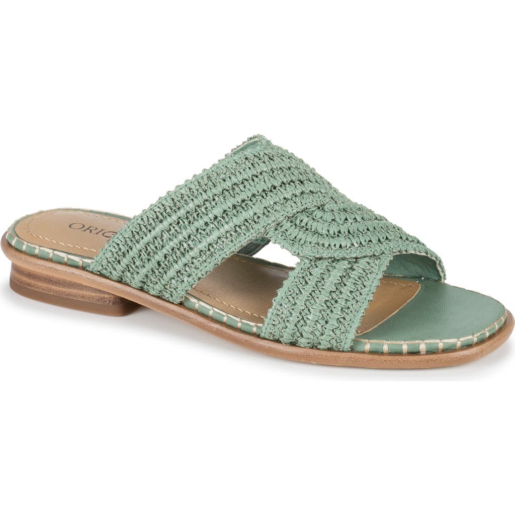 Baretraps Navene Woven Slide Sandal In Sage