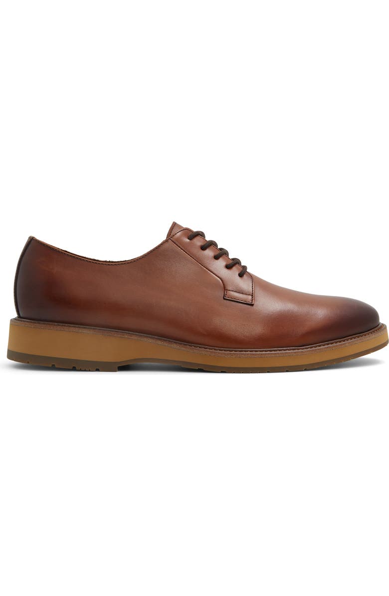 ALDO Ferguson Derby, Alternate, color,