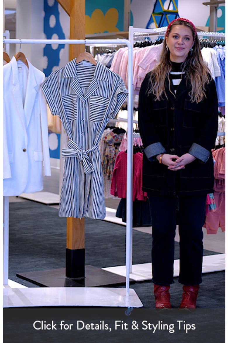 Portia Stripe Mini Shirtdress video
