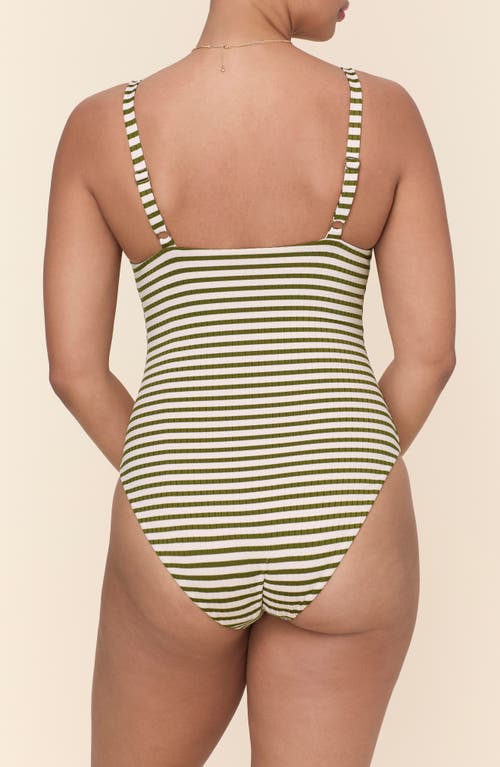 Andie The Marco One-piece Swimsuit In Iguana
