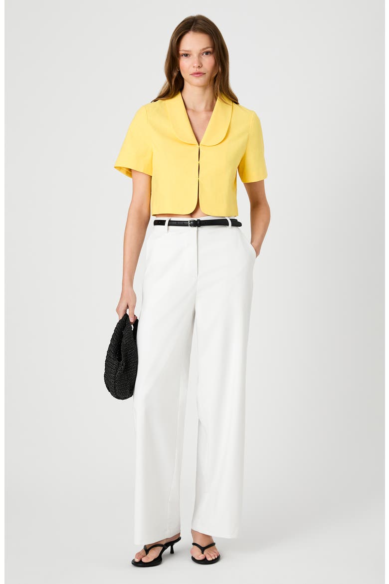 Theo Oversize Peter Pan Collar Crop Top, Alternate, color, BRIGHT DAISY