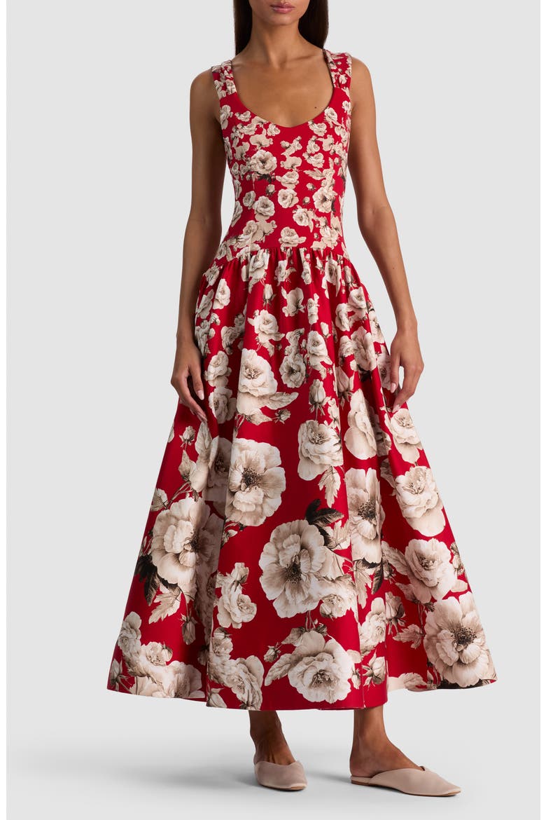 Oriana Floral Cotton Blend Midi Dress, Main, color, ROSE GARDEN HIBISCUS