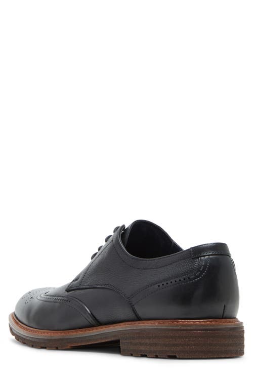 Steve Madden Acari Wingtip Derby In Black