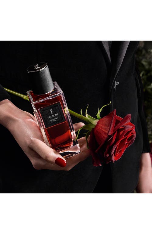 Saint Laurent Yves  Velours In Transparent