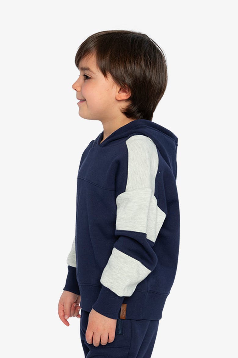 Hooded Striped Sleeve Ribbed Cuff Fleece Cardigan, Alternate, color, Dark Blue and Beige