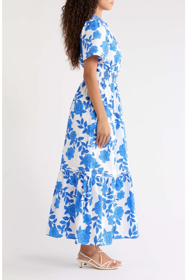 Belraj Floral Print Poplin Maxi Dress, Alternate, color, WHITE-BLUE-MULTI
