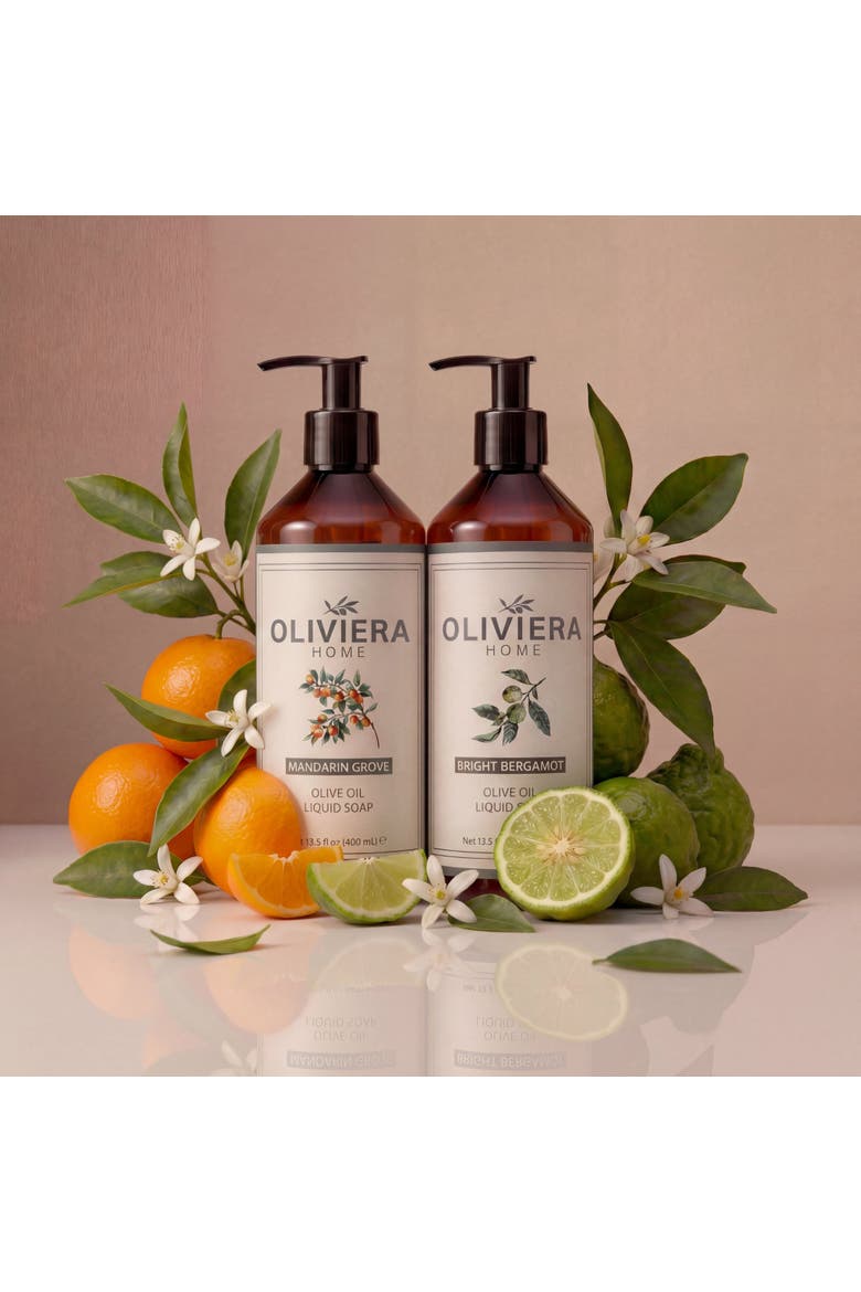 Mediterranean Citrus Hand Wash Duet, Alternate, color, No Color