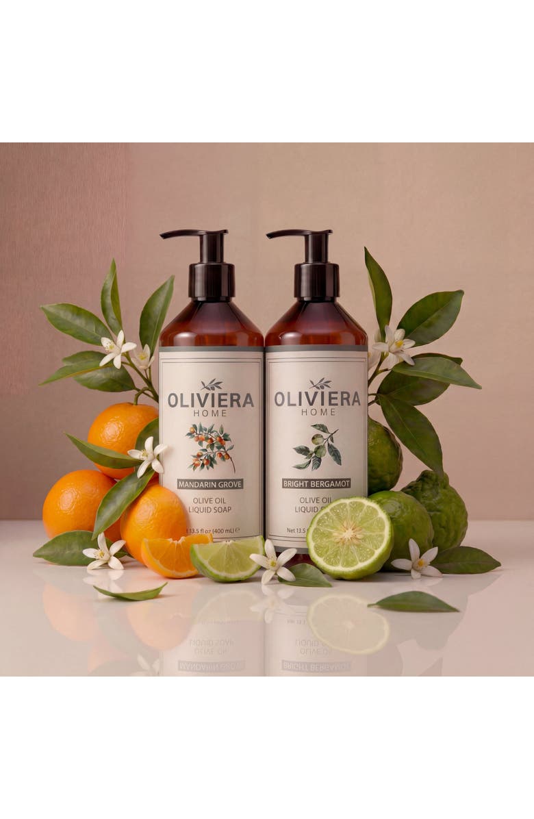 Oliviera Home Mediterranean Citrus Hand Wash Duet, Alternate, color, NO COLOR