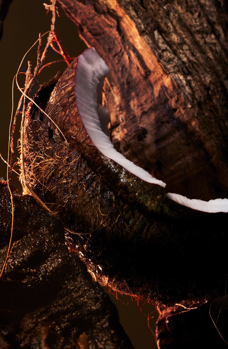 Christian Louboutin Fétiche L
Ébène Eau de Parfum, Alternate, color,