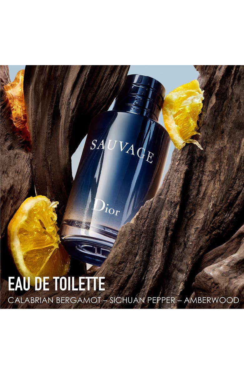 DIOR Sauvage Eau de Toilette Set, Alternate, color,