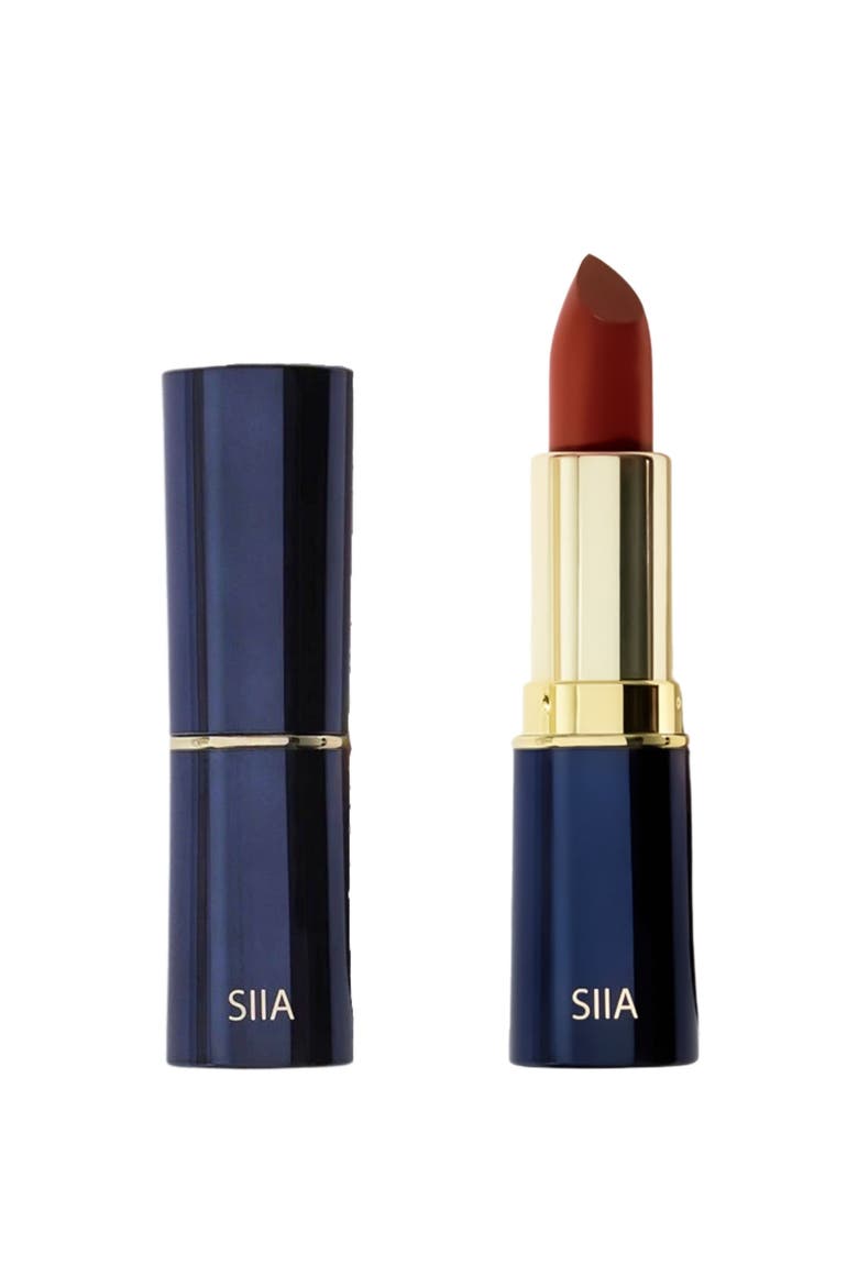 2-Pc. Matte Lip Twin Set, Main, color, M 610 cinnamon brick
