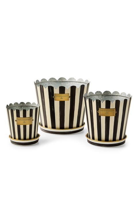Courtly Stripe Stripe Set of 3 Pots & Saucers