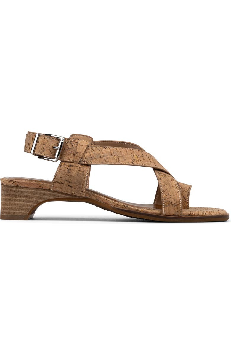 Donald Pliner Charta Sandal, Alternate, color, Natural
