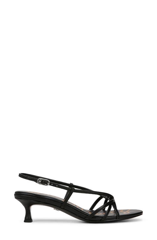Sam Edelman Cressa Slingback Kitten Heel Sandal In Black