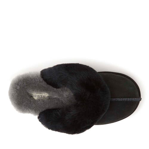 Dearfoams Fireside Sydney Genuine Shearling Scuff Slipper In Black