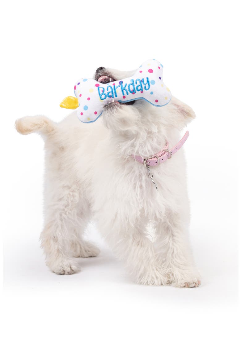 Tiny Tuff It's My Barkday Dog Toy, Alternate, color, BLUE