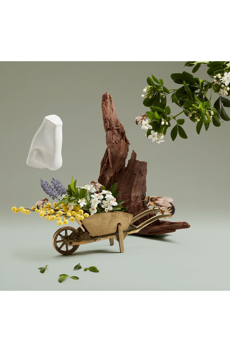 Penhaligon's Highgrove Bouquet Eau de Parfum, Alternate, color, 