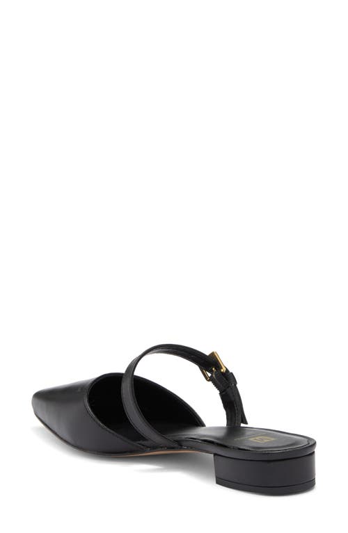 Bruno Magli Pia Pointed Toe Mule In Black
