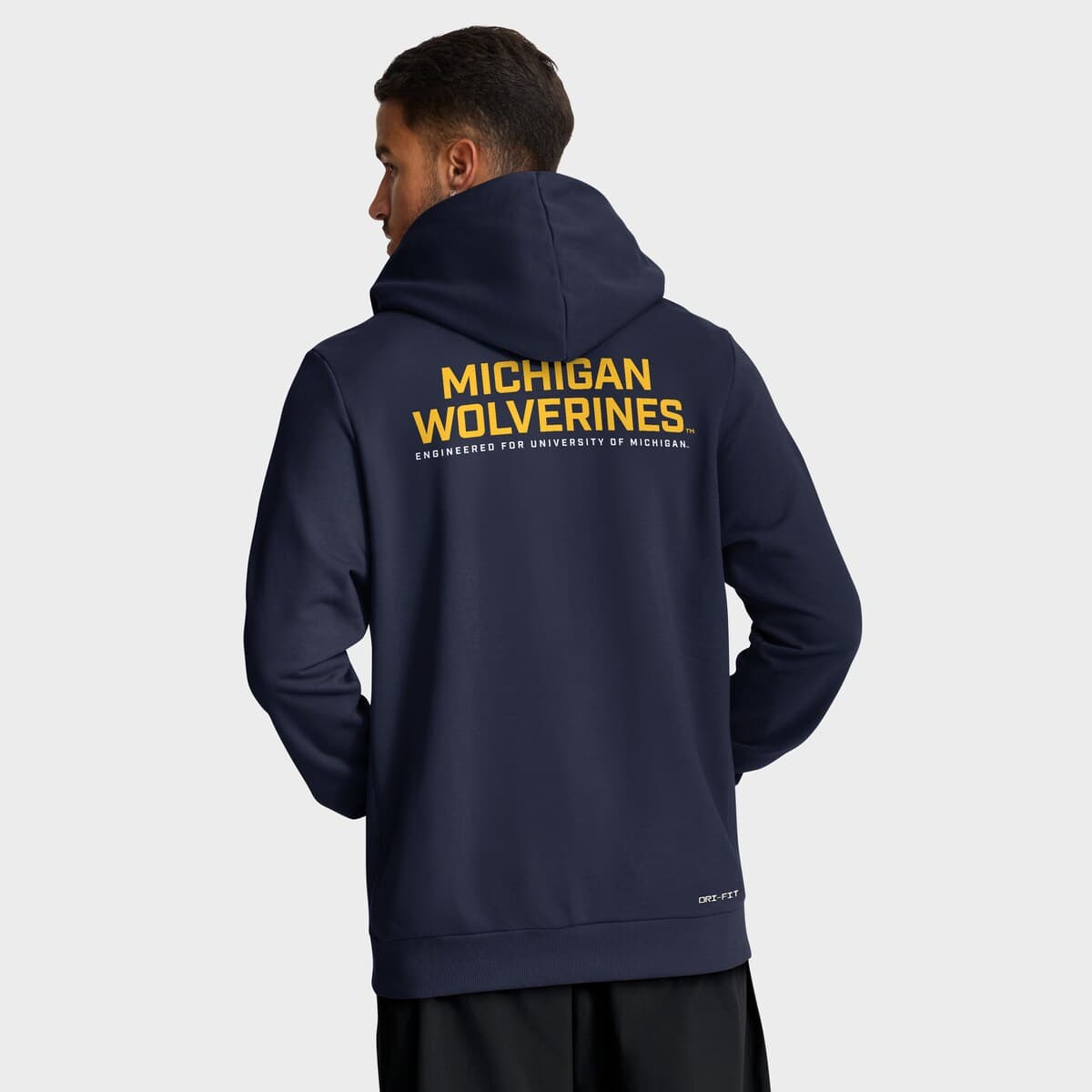 jordan michigan hoodie