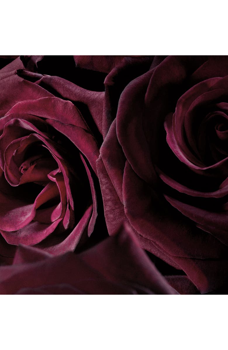 Jo Malone London<sup>™</sup> Jo Malone<sup>™</sup> Velvet Rose & Oud Home Candle, Alternate, color,