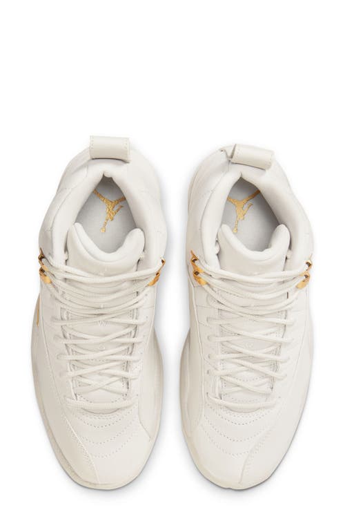 Jordan Air  12 Retro High Top Sneaker In Multi
