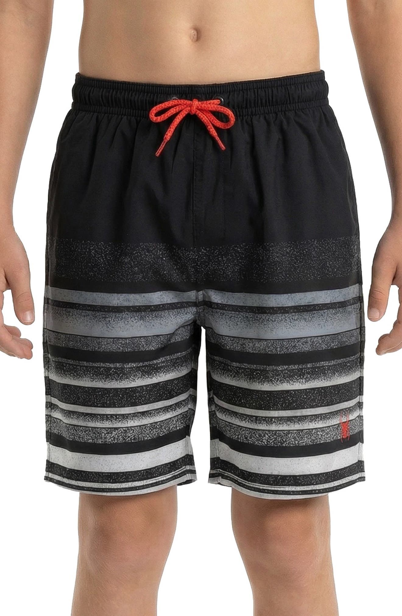 Spyder Kids' Stippled Stripe Volley Swim Trunks