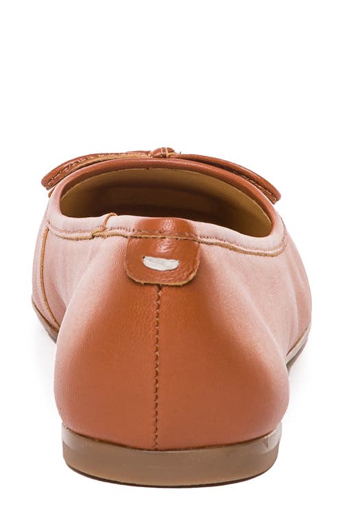Bernardo Gwynn Leather Bow Ballerina Flats In Brown