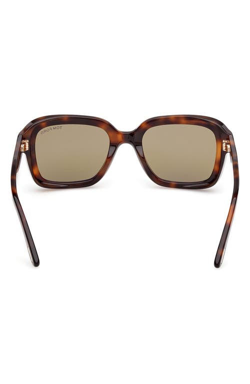 Tom Ford Eyewear Square Frame Sunglasses In Brown